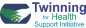Twinning for Health Support Initiative, Nigeria (THSI-N) logo